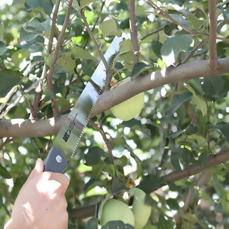 ARS爱丽斯KL-30A手锯 园林工具修枝手锯 伐木锯锯果树锯园艺锯,模玩/动漫/周边/娃圈三坑/桌游,模型制作工具/辅料耗材,淘宝优惠券,粉丝福利购,淘宝优惠卷