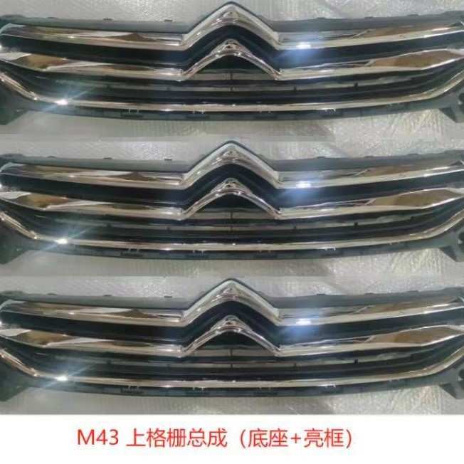雪铁龙爱丽舍14-16款中网总成格栅总成亮条980187018 9801871380