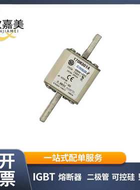 170M3014  170M3015 快速熔断器  电子元器件 型号齐全 量大价优