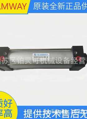 TEAMWAY气压缸TA32N125-A-S DNB50M55-CG-LN02A-2 DNB40M680SH