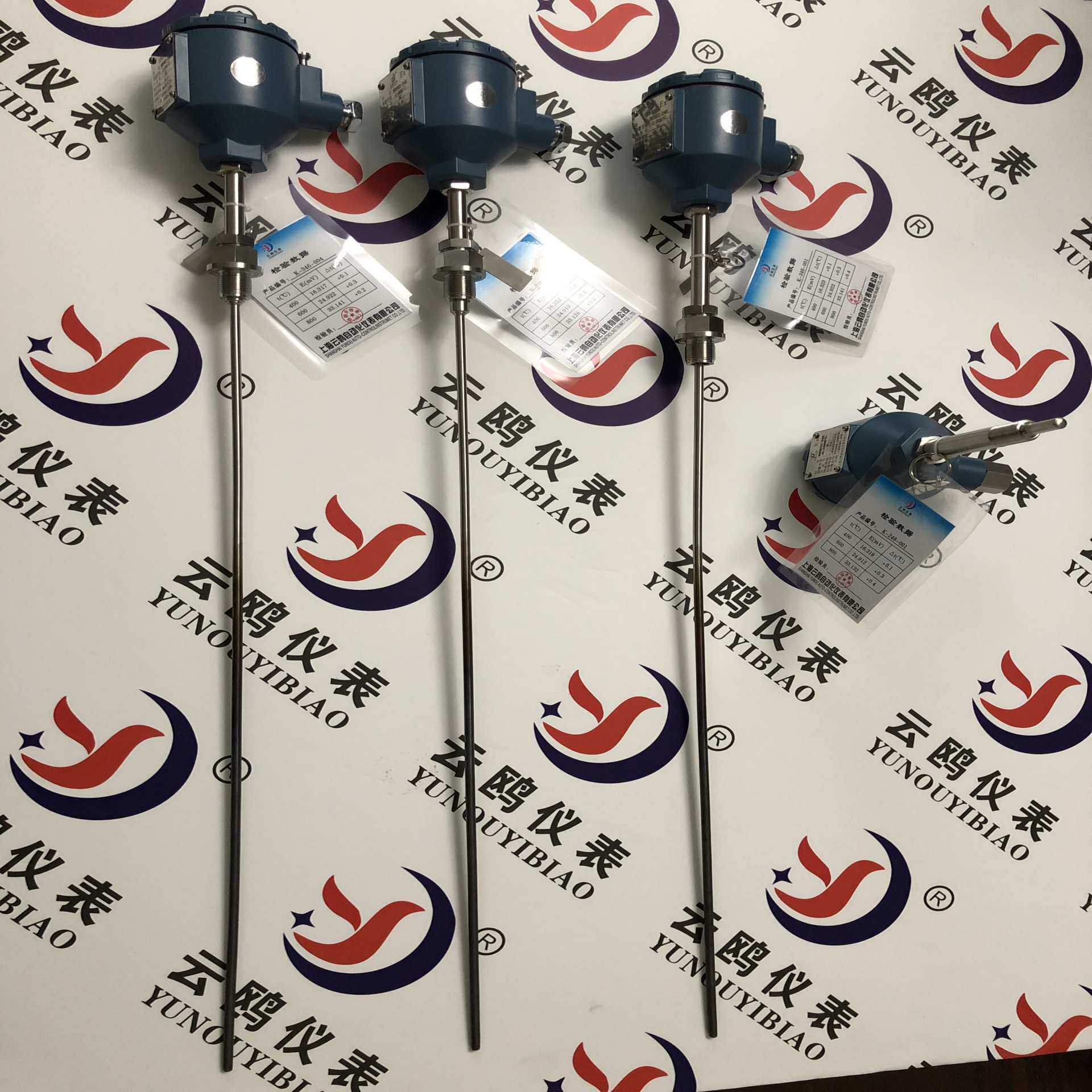 Pt00防爆热电阻WZP-74A直行管接头式WZPK2-240双支隔爆铠装热电阻
