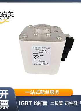 170M8612 170M8635 170M8636 170M8637 低压熔断器 量大价优