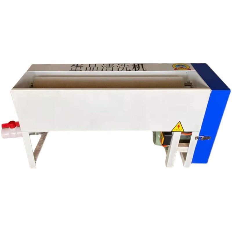 全自动洗蛋机小型商用毛刷鸡蛋鸭蛋清洗机新型蛋品清洗机器洗蛋器