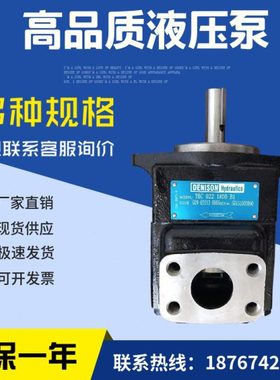 丹尼逊T6C-014-2R01-B1叶片泵 T6C 010 (1R00 1R01 1R02 1R03) B1