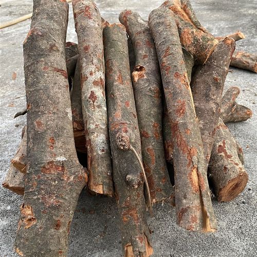 荔枝火柴柴火烧火户外干柴取暖露营木柴郊外篝火野炊壁炉木头小块