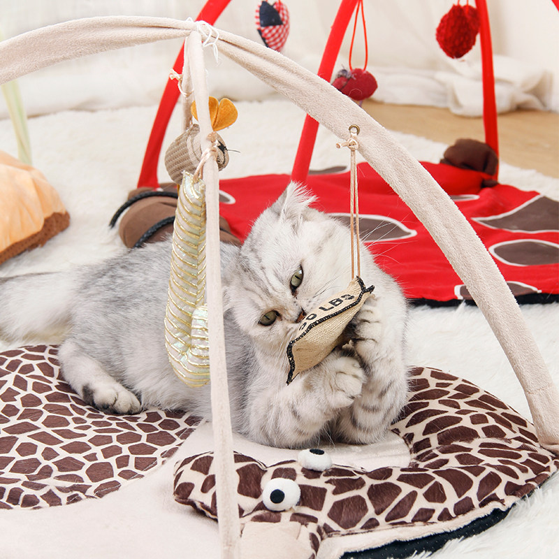 宠物窝 猫咪小帐篷逗猫玩具小床猫窝猫垫子可折叠猫咪用品