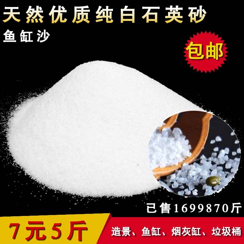 细0纯白石英砂白色5沙水处理白沙子酒滤料白砂过店垃圾桶烟灰缸用