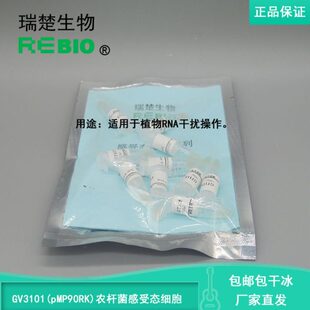 包邮包干冰GV3101(pMP90RK)农杆菌感受态细胞根癌农杆菌10支20支