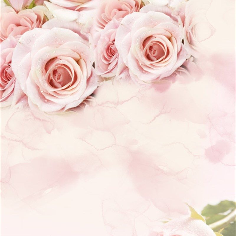 玫瑰衣柜移门贴纸*自粘防潮*橱柜翻新*彩色艺术玻璃磨砂门窗贴膜