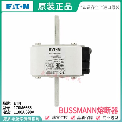 170M6662 170M6663 170M6664 170M6665 170M6667 170M6668熔断器