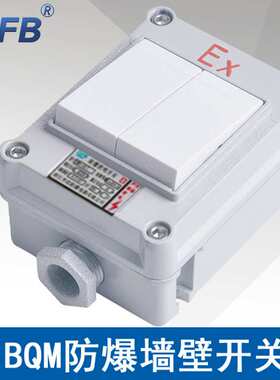 SWB-10IIS防爆照明开关墙壁式ExdbebⅡCT6ExtbⅢC电流10A电压220V