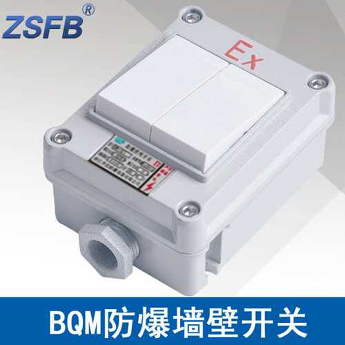 SWB-10IIS防爆照明开关墙壁式ExdbebⅡCT6ExtbⅢC电流10A电压220V