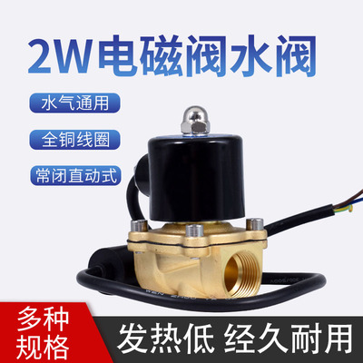 2W电磁阀水阀气阀气动开关铜件常闭AC220VDC24V2分4分6寸DN50