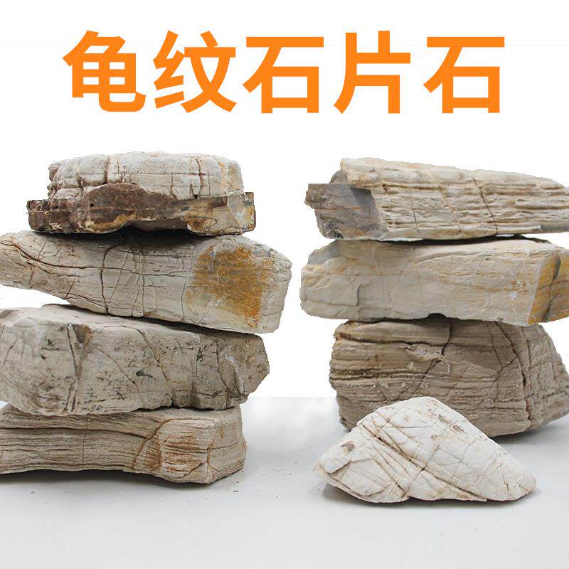 悦积分龟纹石片石乌龟晒台天然原石大块盆景假山石鱼缸龟缸小块造