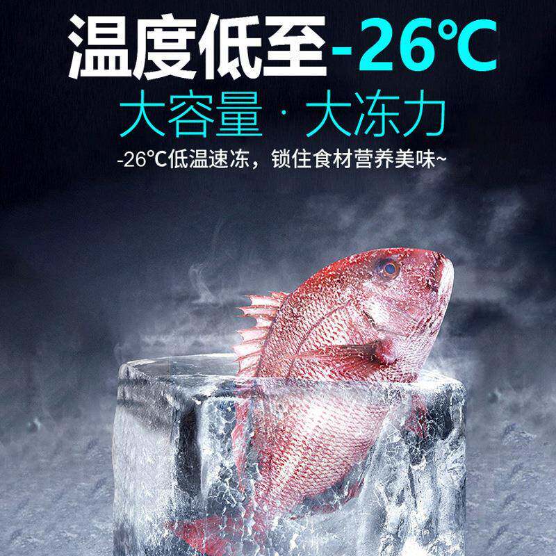 星星冰柜冷藏保鲜冷冻冰箱速冻雪糕冷饮海鲜柜卧式冷柜商用冰柜
