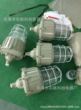 BAD82-L250hb1HZ隔爆型防爆灯HRD82高性能镇流器HID灯(IIC).