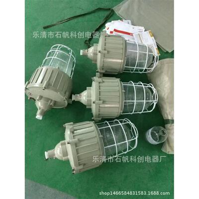 BAD82-L250hb1HZ隔爆型防爆灯HRD82高性能镇流器HID灯(IIC).