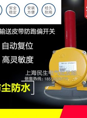 原装正宗2极输送皮带防跑偏开关 TYPP-1635型 急停保护主令控制器