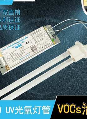uv光氧灯管镇流器一拖二Lw2-800-2/75Sv 810光解灯整流器150w