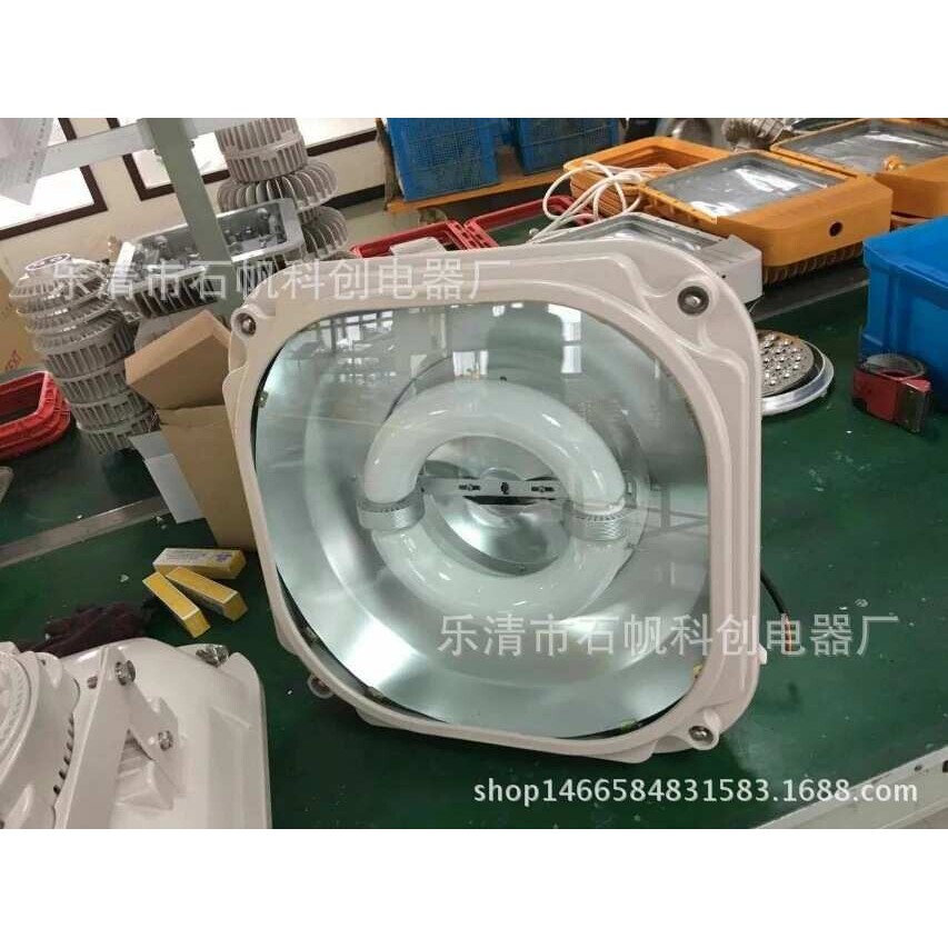SBF6130-YQL200免维护节能防爆泛光灯 防爆大功率低频无极灯250W.
