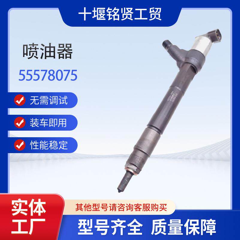 电装喷油器295050-1030 欧宝55578075 用于欧宝Astra/Meriva 1.6D