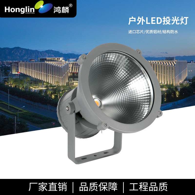 单色50W60WLED投光灯大功率足瓦射灯外墙高楼柱子广场广告招牌灯