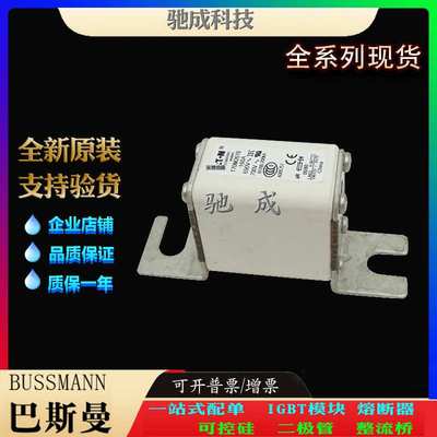 巴斯曼170M2616 170M2617 170M2618 加工制作量大价优 特种保险丝