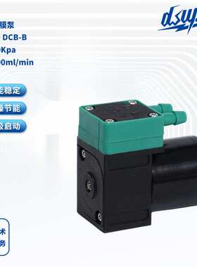 液体隔膜泵DS100 DCB-B无刷直流隔膜泵24V液体泵化工泵厂家直供