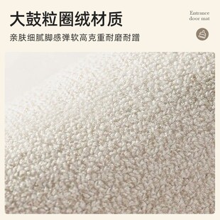 卡通圈绒入户地垫家用入户门口外地垫耐脏免洗可裁剪玄关门外地毯
