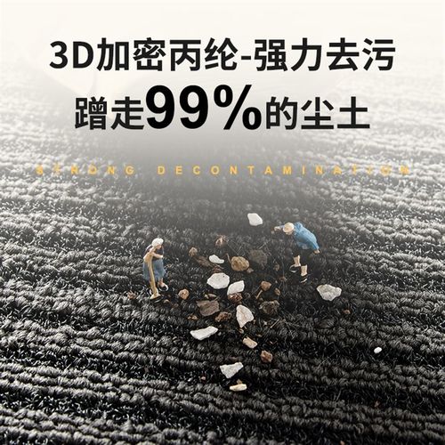 入户地垫玄关大门口进门脚垫2024新款轻奢高端门外地毯耐脏除尘