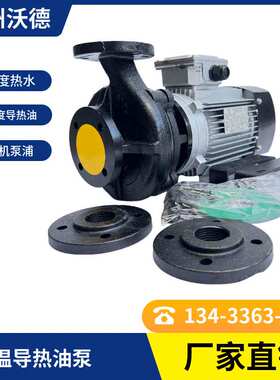 YUANSHIN高温导热油泵 YS-36C泵 1.5KW模温机高温马达 热水泵