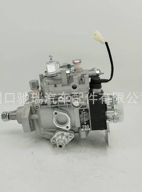 22100-17800 VE6燃油泵总成 适用10F2000 RND900 丰田1HZ