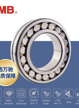 TMB/ 精工NN3064K/P5W33(HS精密)精密机床双列圆柱滚子轴承