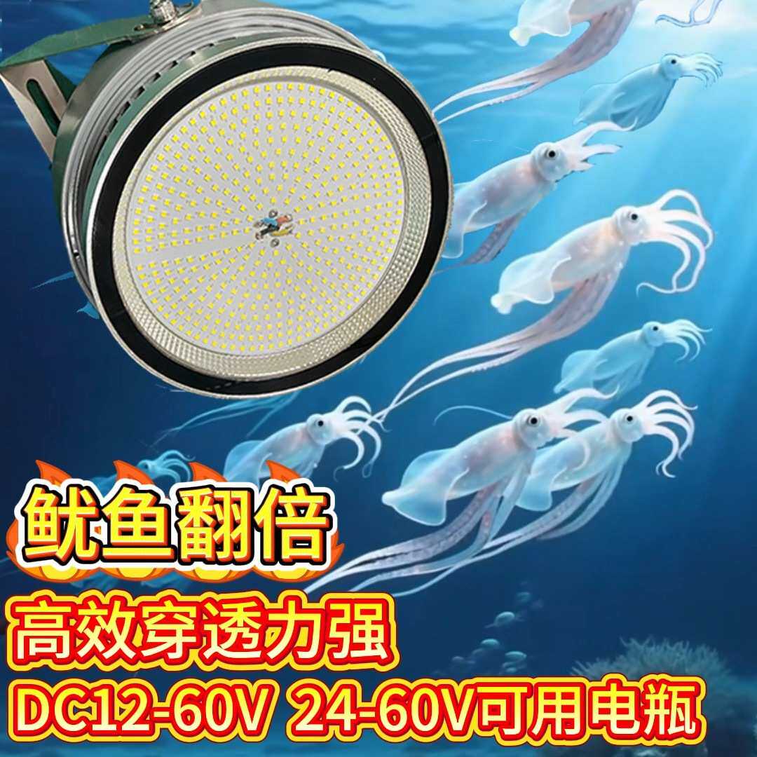 12V24VLED船用集鱼灯防水鱿鱼灯诱鱼灯聚鱼灯海钓筏钓灯大功率