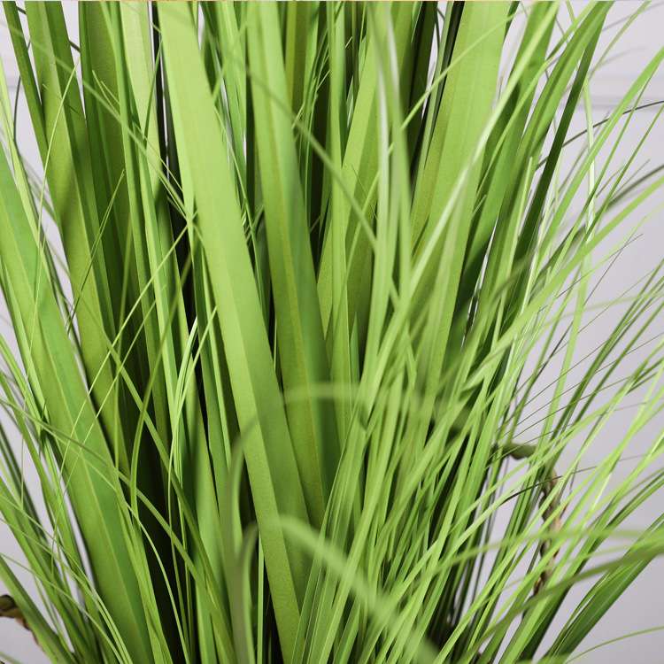 仿真芦苇5头盆栽假绿植 客厅卧室植物装饰假草家居仿真草狗尾巴草