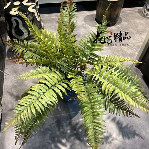 高品质手感大蕨叶蕨草蕨类植物造景绿植壁挂单只/束垂吊假草田园