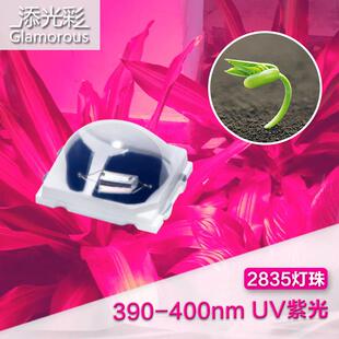 2835紫光 2835灯珠 验钞灯 美甲灯灭蚊灯珠透镜灯珠2835贴片灯珠