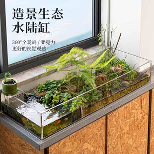 水陆两栖缸客厅展示生态过滤绿植造景饲养观赏亚克力黄缘乌龟缸