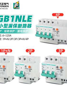 天正TGB1NLE-63漏电保护断路器1P+N/2P/3P+N/4P漏保DZ47LE-47开关