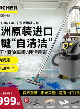 Karcher/德国卡赫NT 30/1 Ap Imported Dry & Wet Vacuum Cleaner