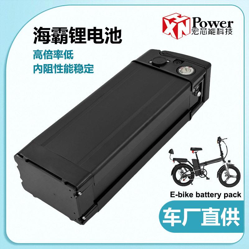 外贸出口跨境电动车上放电海霸锂电池海霸48V20AH36V25ah电池