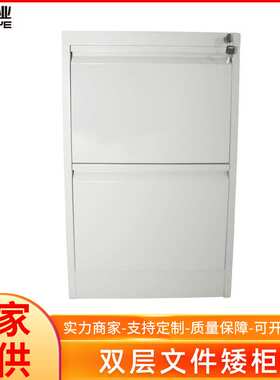 供应双层文件矮柜灰色档案文件双层柜冷轧钢板储物柜子规格可定