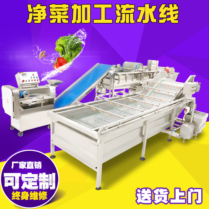 毛豆清洗漂烫速冻设备 速冻凉薯全套设备厂家 辣椒酱清洗打碎机现