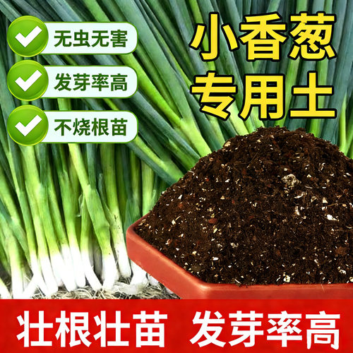 小葱适用有机发酵营养土透气疏松
