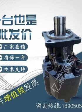替代HYVA海沃齿轮泵100排量单联齿轮转换机械液压泵 规格齐全现货
