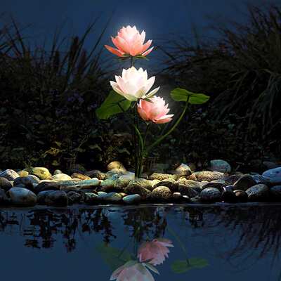 户外庭院灯荷花莲花灯防水自动开花公园庭院景观装饰灯池边草坪灯