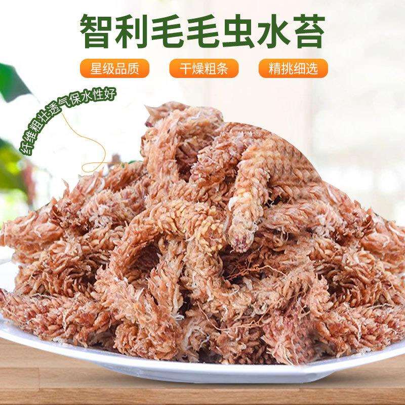 智利水苔多肉兰绿植花造景基质爬宠冬眠垫材椰砖大块9斤