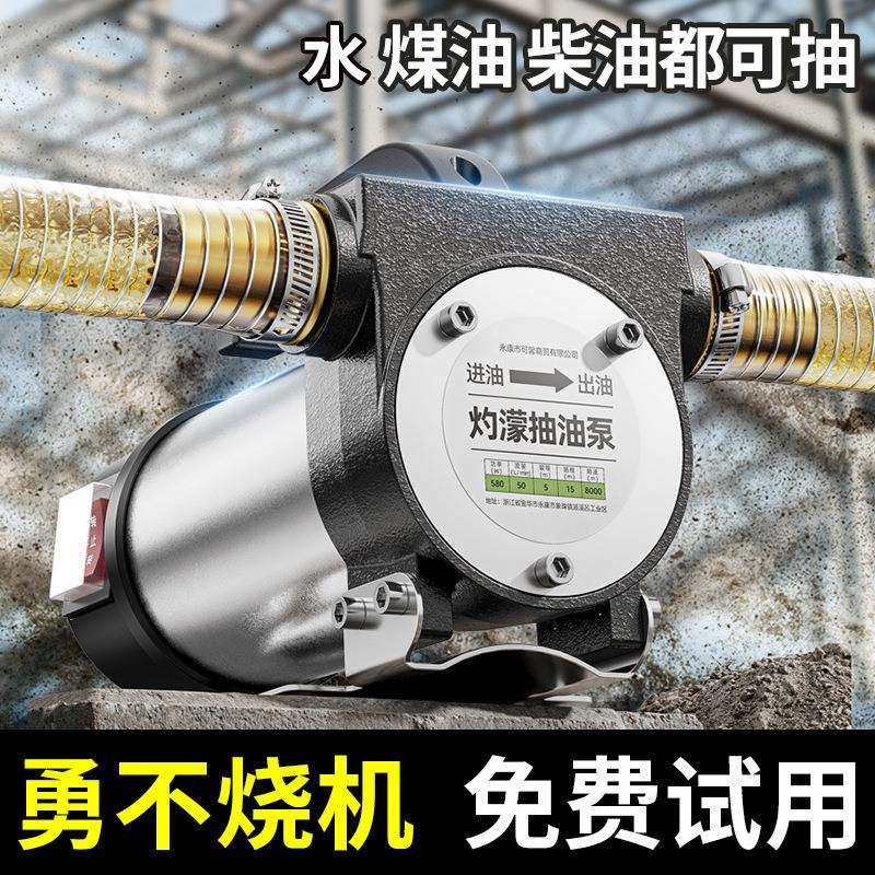 电动抽油泵12v24v转子220v柴油泵小型全自动自吸泵加油机神器设备,玩具/童车/益智/积木/模型,毛绒/玩偶/公仔/布艺类玩具,淘宝优惠券,粉丝福利购,淘宝优惠卷