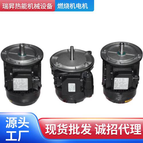 厂家直供 瑞典百通燃烧机电机BG300 BG400BG550原装进口马达