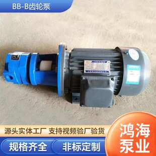 B10 B20 B16 B32N摆线齿轮油泵高压齿轮泵离心电动